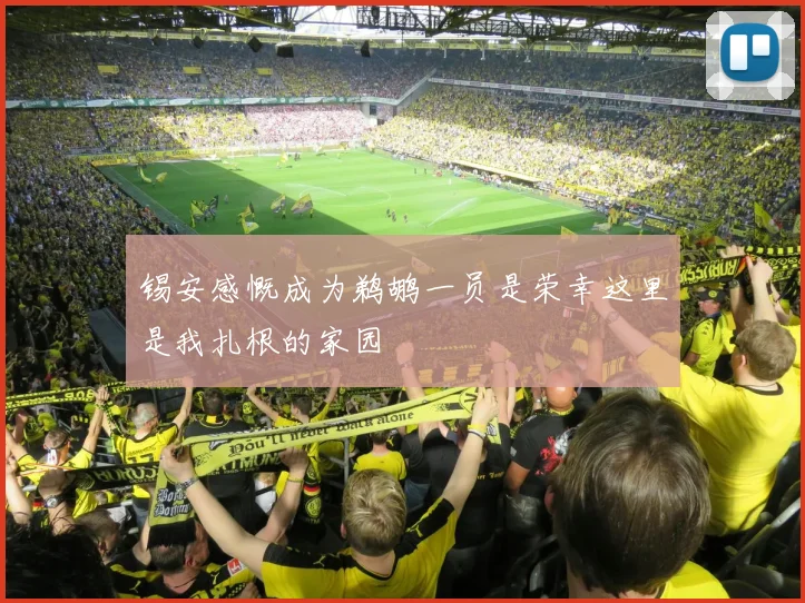 锡安感慨成为鹈鹕一员是荣幸这里是我扎根的家园