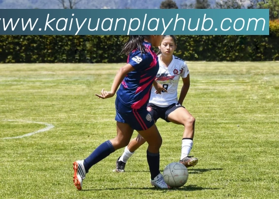 开元棋牌平台生态图