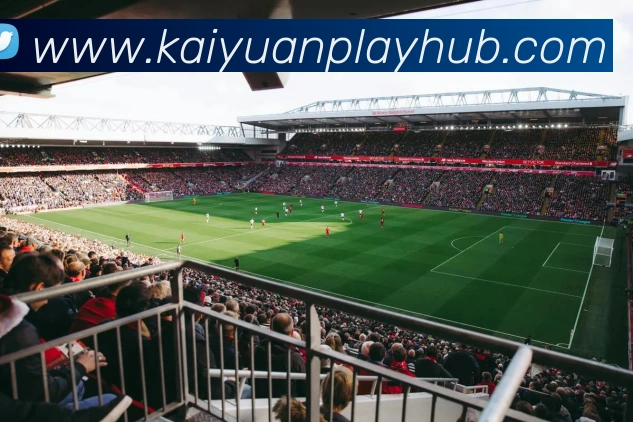 开元棋牌APP 封面图